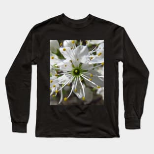 wonderful white blossom, flowers, nature Long Sleeve T-Shirt